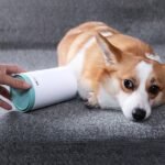 Gobelet Lave-Pattes Portable pour Chien
