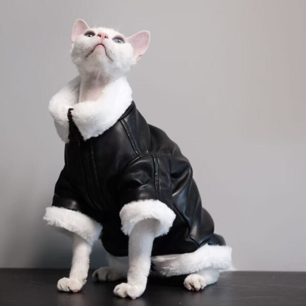Jaqueta de Couro para Gatos Hairless – Roupa de Inverno para Sphynx