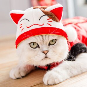 Chapéu Tang Chinês para Gatos e Cães — Estilo Oriental
