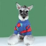 Suéter Fofo com Cenoura para Schnauzer e Teddy – Inverno