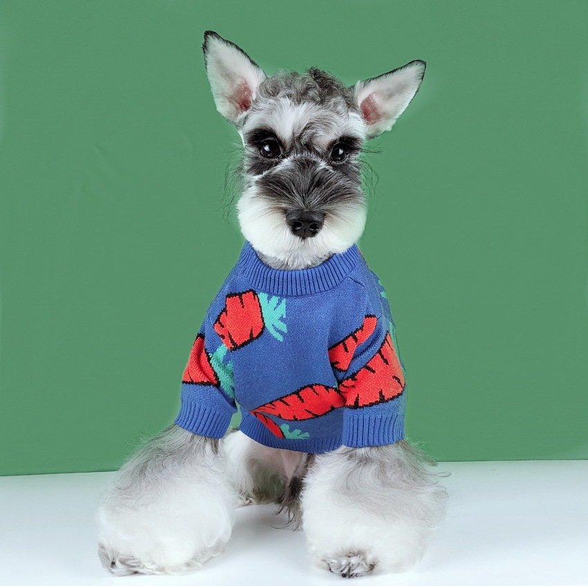 Suéter Fofo com Cenoura para Schnauzer e Teddy – Inverno
