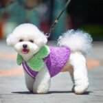 Roupinha Estilo Coreano com Renda Folha de Lótus para Pets