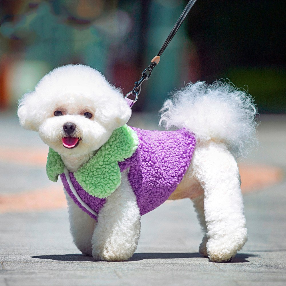 Roupinha Estilo Coreano com Renda Folha de Lótus para Pets