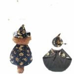 Kit Fantasia Halloween Bruxo para Pets – Capa, Chapéu e Roupa