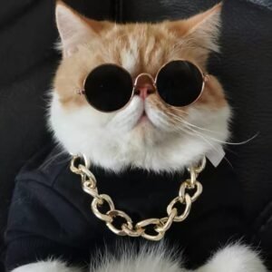 Chapéu de Leão para Gatos – Acessório Divertido para Fotos