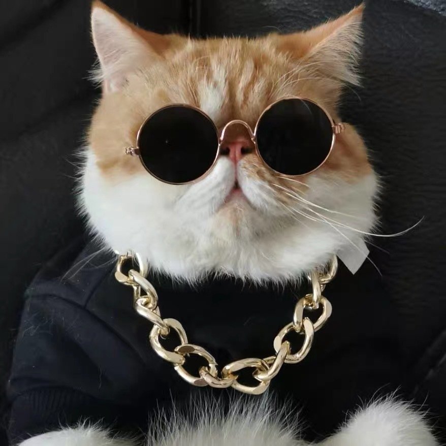 Chapéu de Leão para Gatos – Acessório Divertido para Fotos