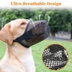 Focinheira Fashion para Cães — Leve e Estilosa em PP/PE