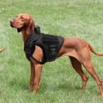 Colete Tático Impermeável para Cães Grandes – Peitoral Reforçado Anti-Fuga