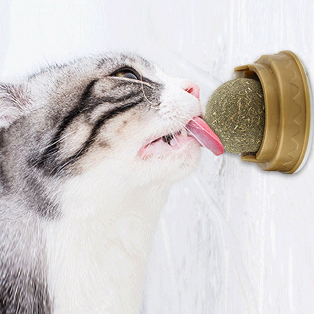 Bolinhas de Catnip Giratórias para Limpeza Dental – Gatos