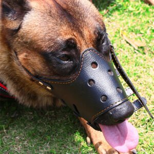 Focinheira Ajustável Antipetisco para Cães Pequenos e Grandes