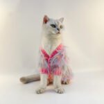 Cardigan Estilo Japonês e Coreano para Pets – Colorido Degradê