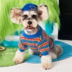 Suéter Gola Redonda Azul — Casual e Versátil para Cães