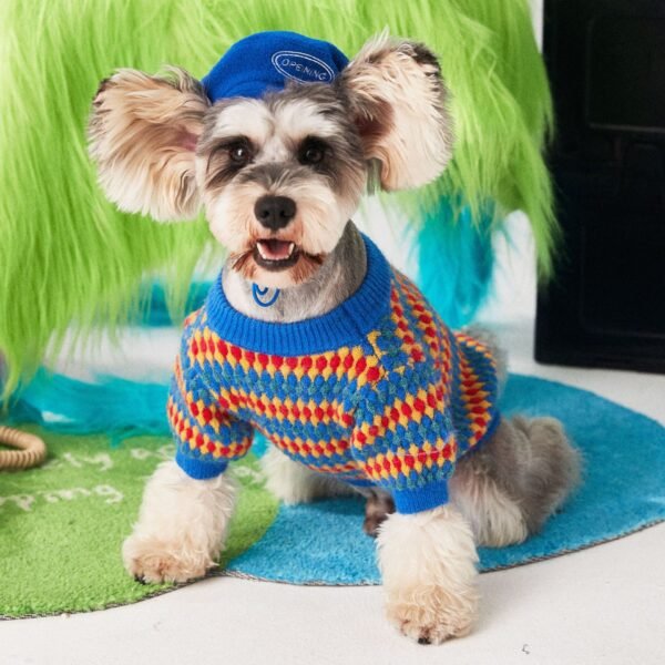 Suéter Gola Redonda Azul — Casual e Versátil para Cães