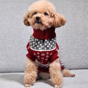 Suéter Gola Alta com Estampas Natalinas para Pets – Vários Estilos
