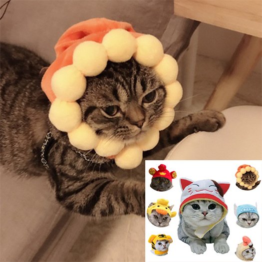 Chapéu Divertido para Gatos e Cães — Fantasia para Fotos Estilo INS