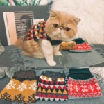 Suéter de Natal com Flocos de Neve para Cães e Gatos – Poliéster
