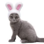 Chapéu de Orelhas de Coelho Aquecido — Fashion para Pets