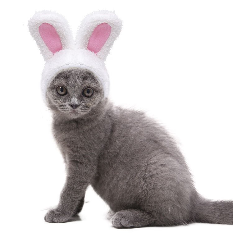 Chapéu de Orelhas de Coelho Aquecido — Fashion para Pets