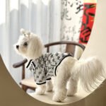 Jaqueta com Zíper para Pets — Casaco de Inverno Estilo Teddy