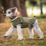 Capa de Chuva Refletiva para Cães — Impermeável e à Prova de Vento