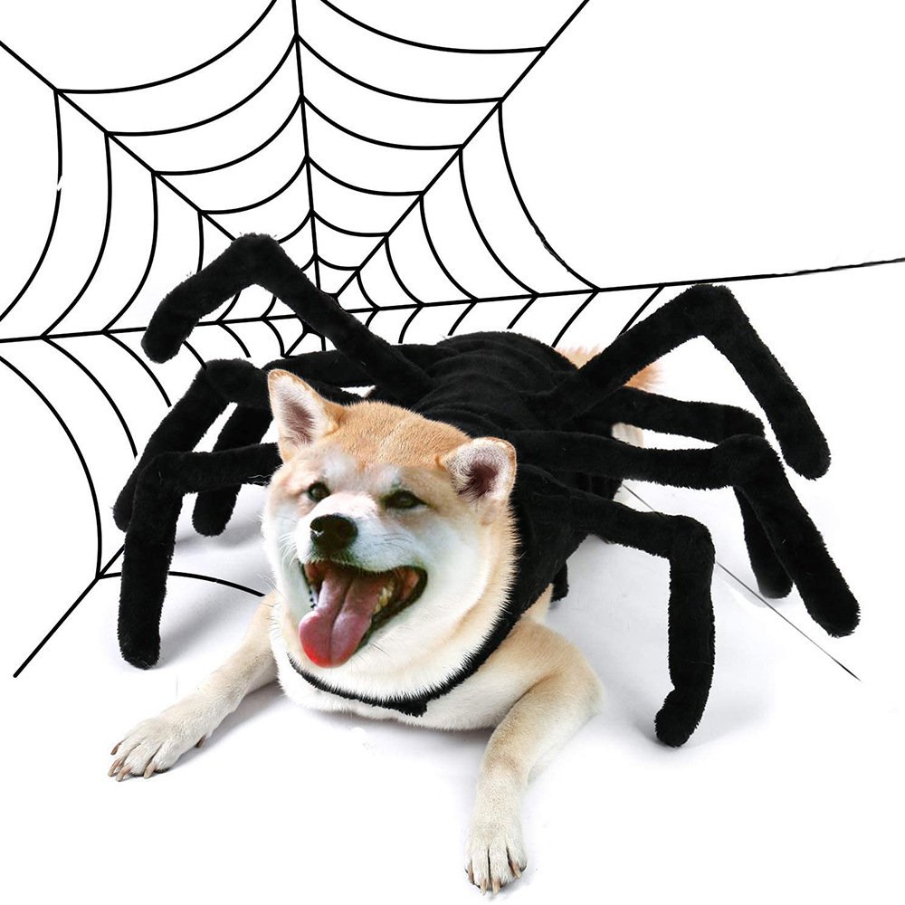 Fantasia de Aranha para Pets – Costas e Barriga Divertidas