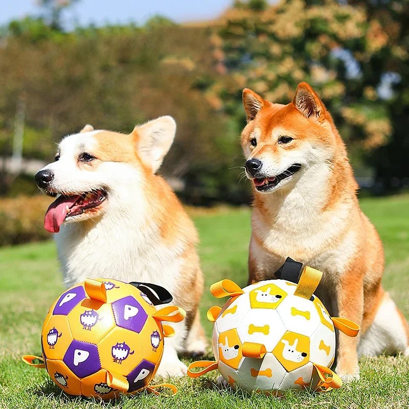 Bola de Futebol Interativa com Estampa para Cães – Uso Interno e Externo