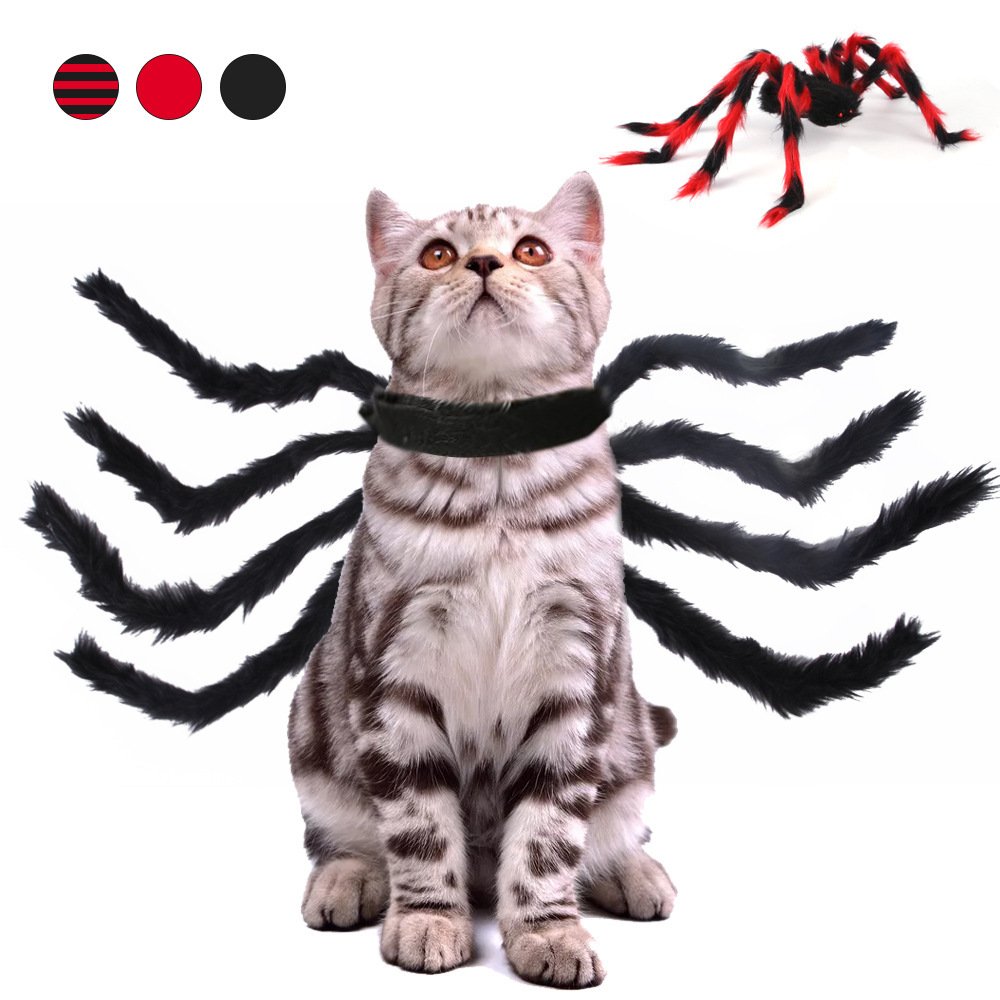 Fantasia de Aranha para Pets — Halloween para Cães e Gatos