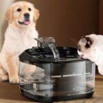 Bebedouro Inteligente Automático com Filtro e Grande Capacidade Bivolt - Cães e Gatos