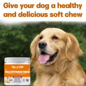 Suplemento Multivitamínico 6 em 1 para Cães – Saúde Integral (300g)