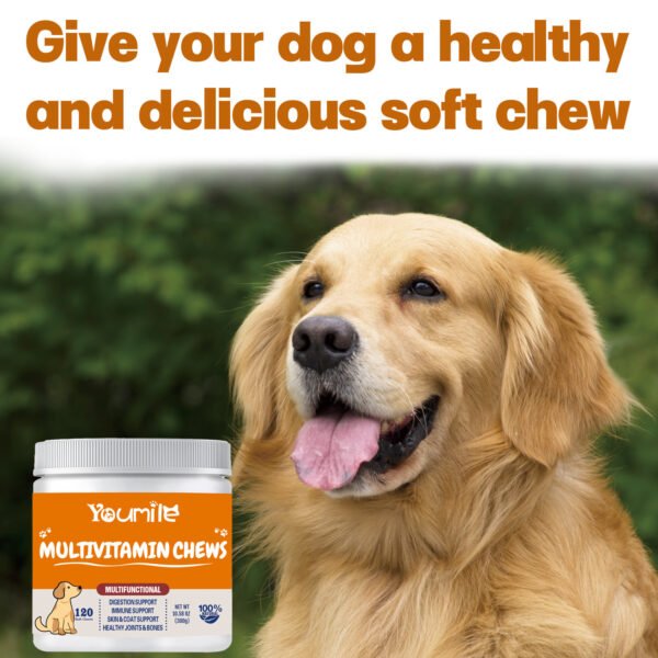 Suplemento Multivitamínico 6 em 1 para Cães – Saúde Integral (300g)