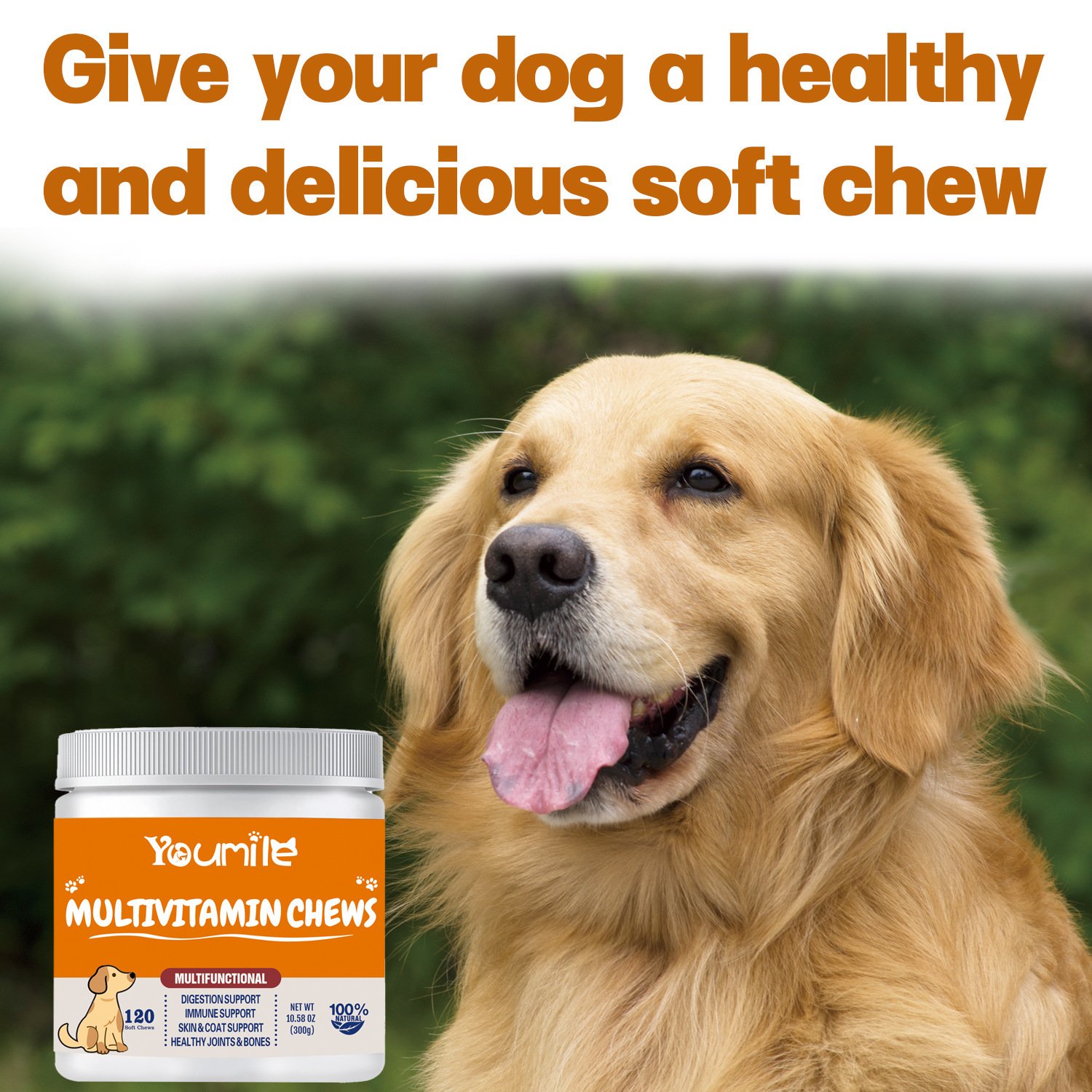 Suplemento Multivitamínico 6 em 1 para Cães – Saúde Integral (300g)