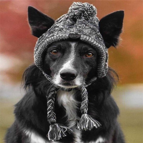 Gorro de Linho para Cães – Outono e Inverno