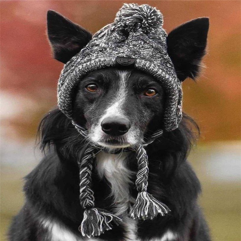 Gorro de Linho para Cães – Outono e Inverno