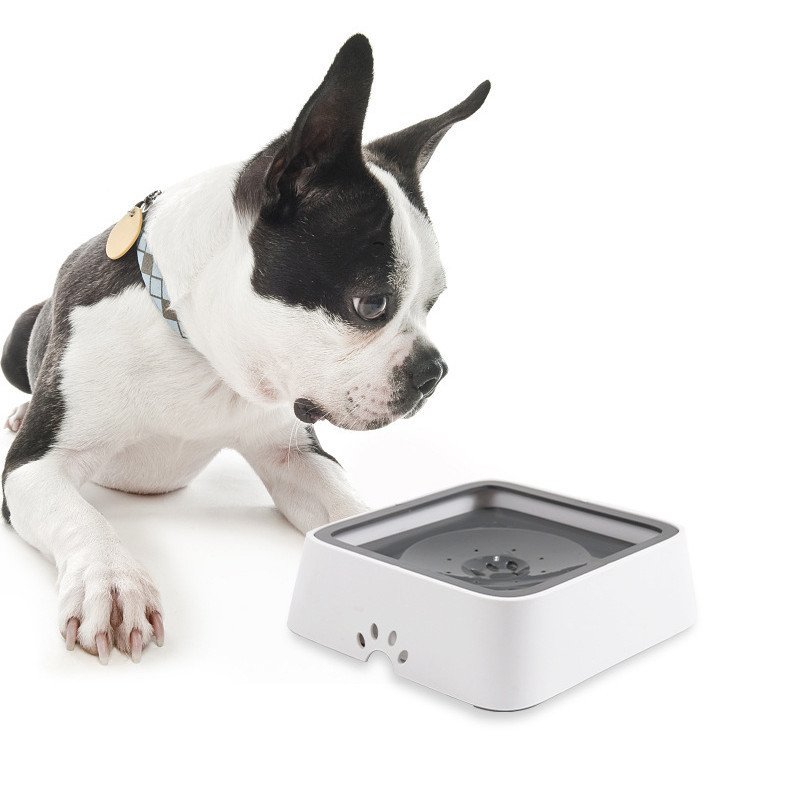 Bebedouro Anti-Molhar Focinho e Bigodes com Placa Flutuante 2L – Gatos e Cães