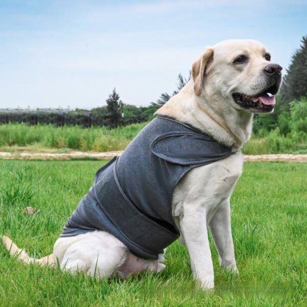 Regata Calmante para Cães — Alivia Ansiedade de Separação