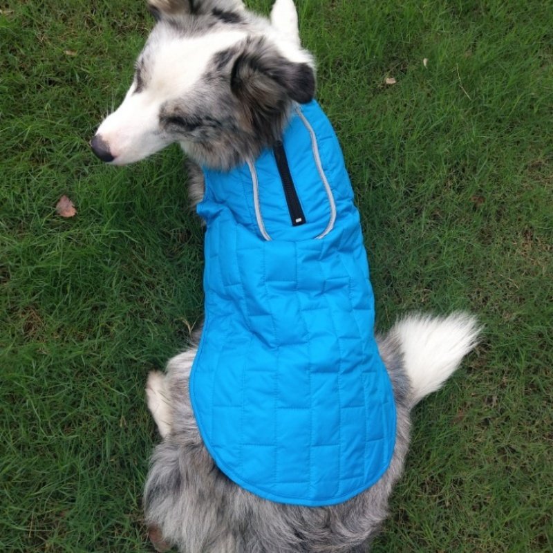 Jaqueta Xadrez Duas Cores para Pets – Estilo Britânico
