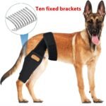 Cinta de Reabilitação para Joelho de Cães – Neoprene
