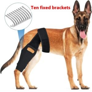 Cinta de Reabilitação para Joelho de Cães – Neoprene
