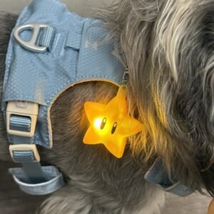 Pingente Luminoso para Coleira de Cães – Segurança e Visibilidade Noturna Anti-Perda