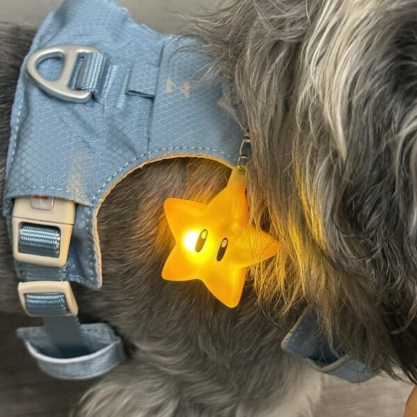 Pingente Luminoso para Coleira de Cães – Segurança e Visibilidade Noturna Anti-Perda