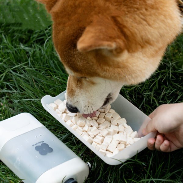 Garrafa Bebedouro Portátil com Alça de Silicone para Passeio – Cães