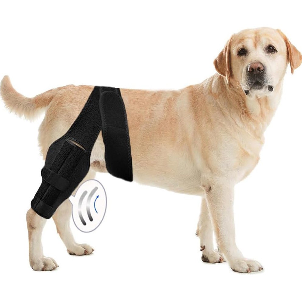 Cinta de Reabilitação para Perna de Cão – Suporte com Barra