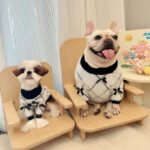 Roupa de Inverno para Cães – Xadrez Branco e Preto