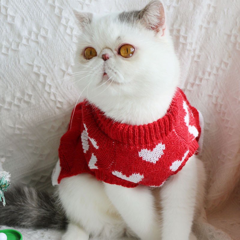 Vestido de Princesa Natalino para Cães – Suéter Festivo Vermelho