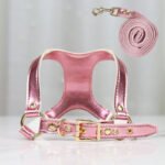 Peitoral em Couro PU com Guia para Cães e Gatos – Kit Elegante e Resistente