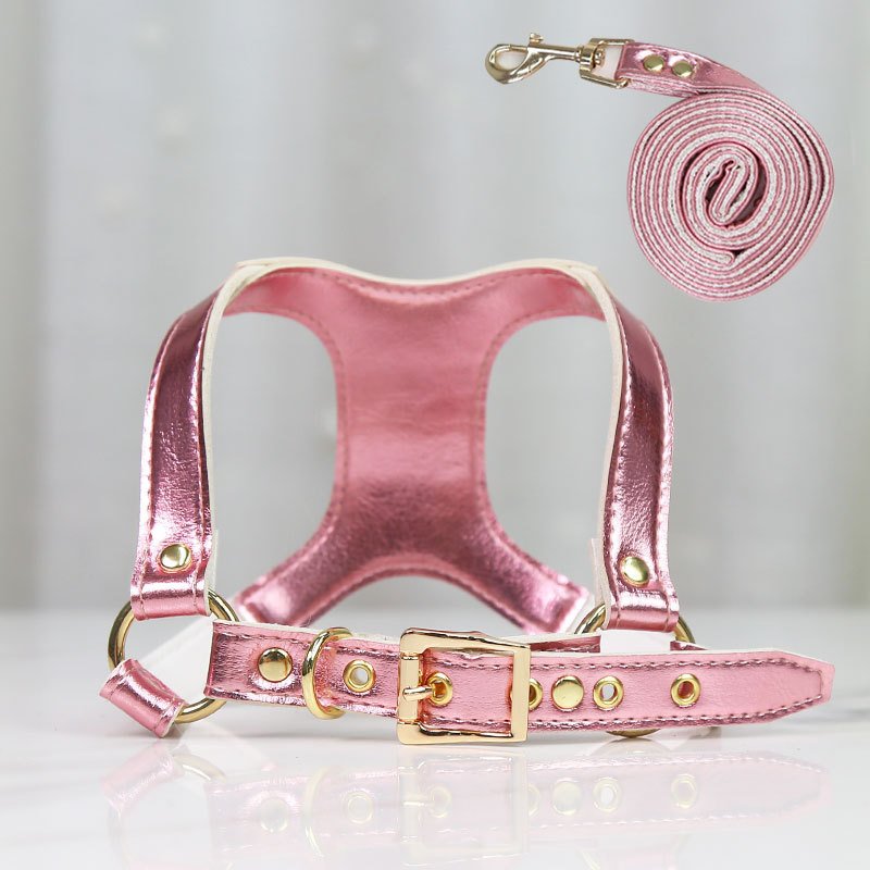 Peitoral em Couro PU com Guia para Cães e Gatos – Kit Elegante e Resistente