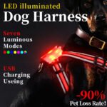 Peitoral LED para Passeios Noturnos com Cães — Multicor com Fibra Óptica