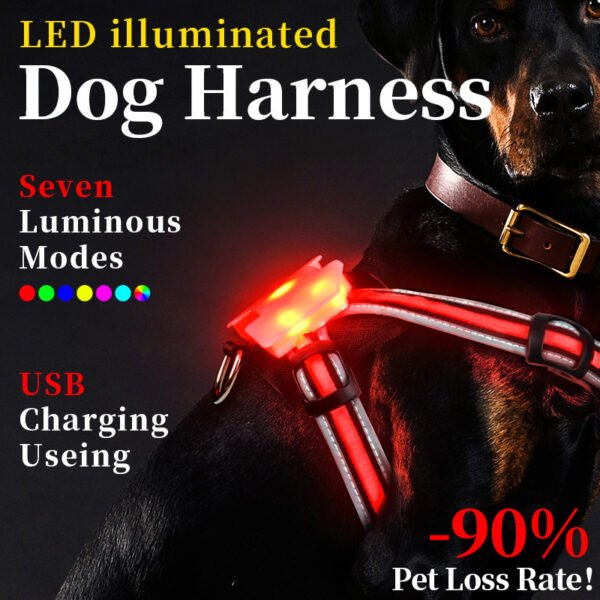 Peitoral LED para Passeios Noturnos com Cães — Multicor com Fibra Óptica