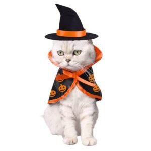 Capa e Chapéu de Halloween para Pets – Kit Festa Tamanho Único