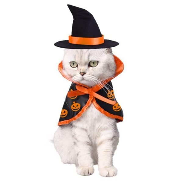 Capa e Chapéu de Halloween para Pets – Kit Festa Tamanho Único